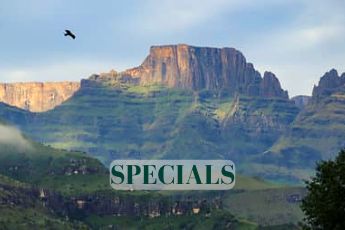 accommodation specials at a drakensberg hotel