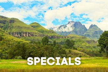 accommodation specials