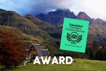 TripAdvisor Travellers choice award 2024