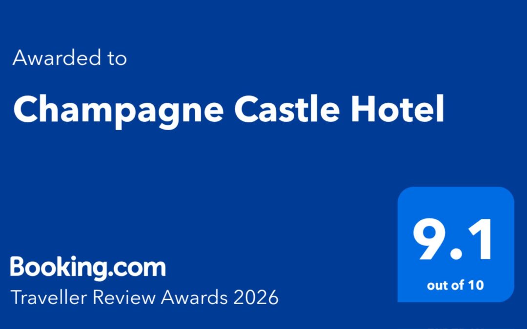booking.com traveller review award 2026