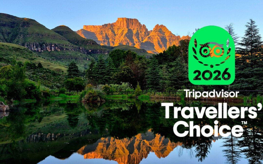 tripadvisor travellers choice 2026