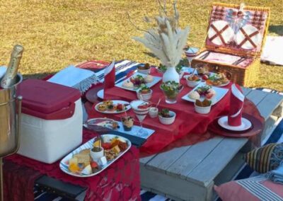 hotel picnic drakensberg