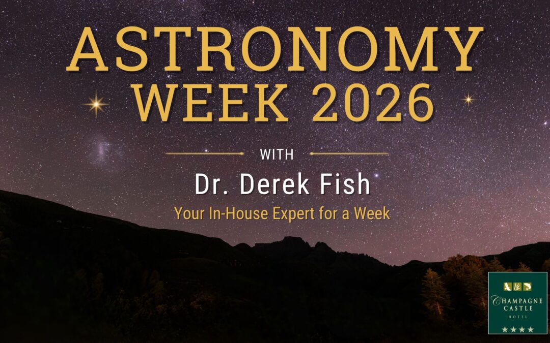 Astronomy Week 2026: Eight Nights Under the Berg Sky