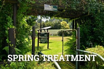bowling green spring treatment